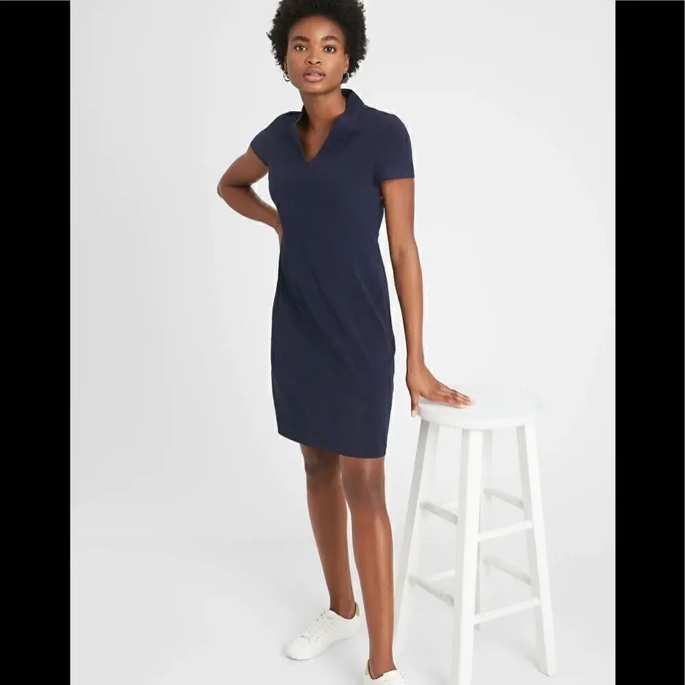 Banana Republic Pleat-Neck Sheath Dress